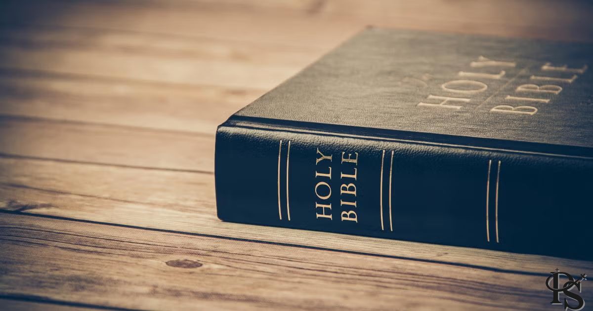 Best Study Bible for Men of Faith: Our Top 9 Picks